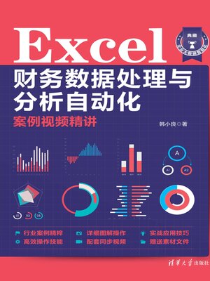 cover image of Excel财务数据处理与分析自动化案例视频精讲